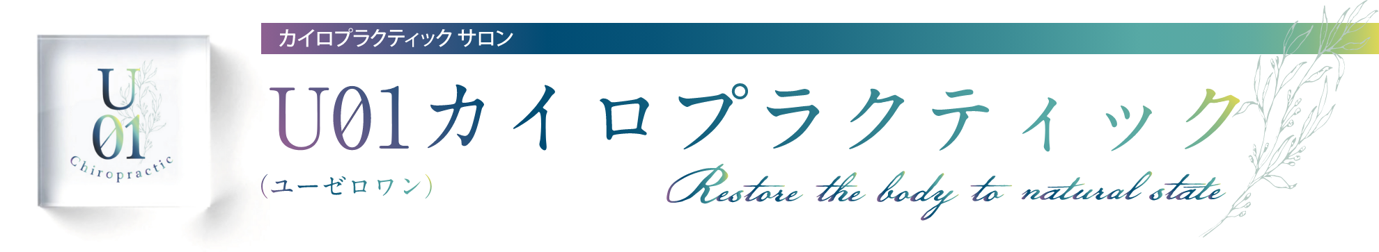 U01カイロプラクティック